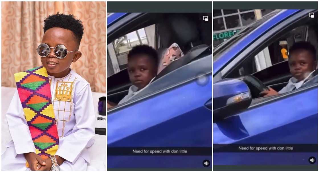 Don Little Don Little