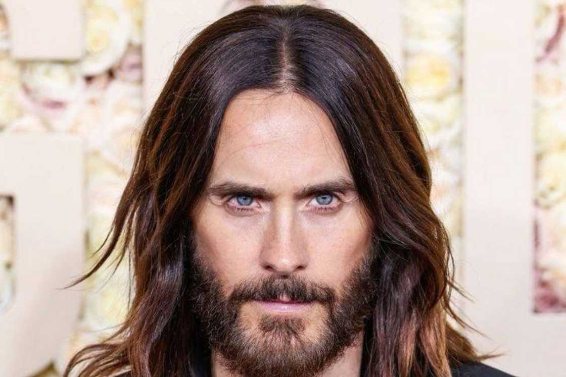 A dark brown hair parted in a middle part style A dark brown hair parted in a middle part style