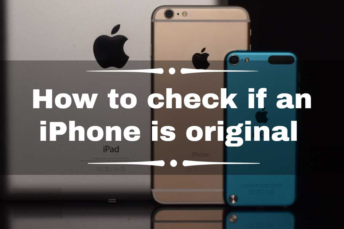 How to check if an iPhone is original How to check if an iPhone is original