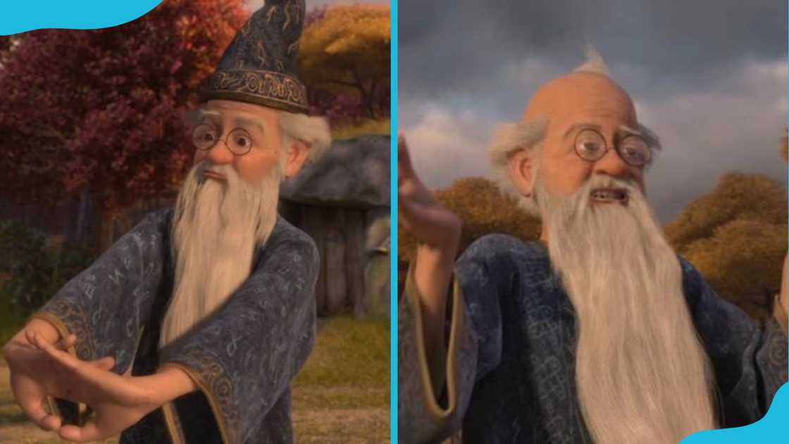 Merlin in his robe and round glasses Merlin in his robe and round glasses