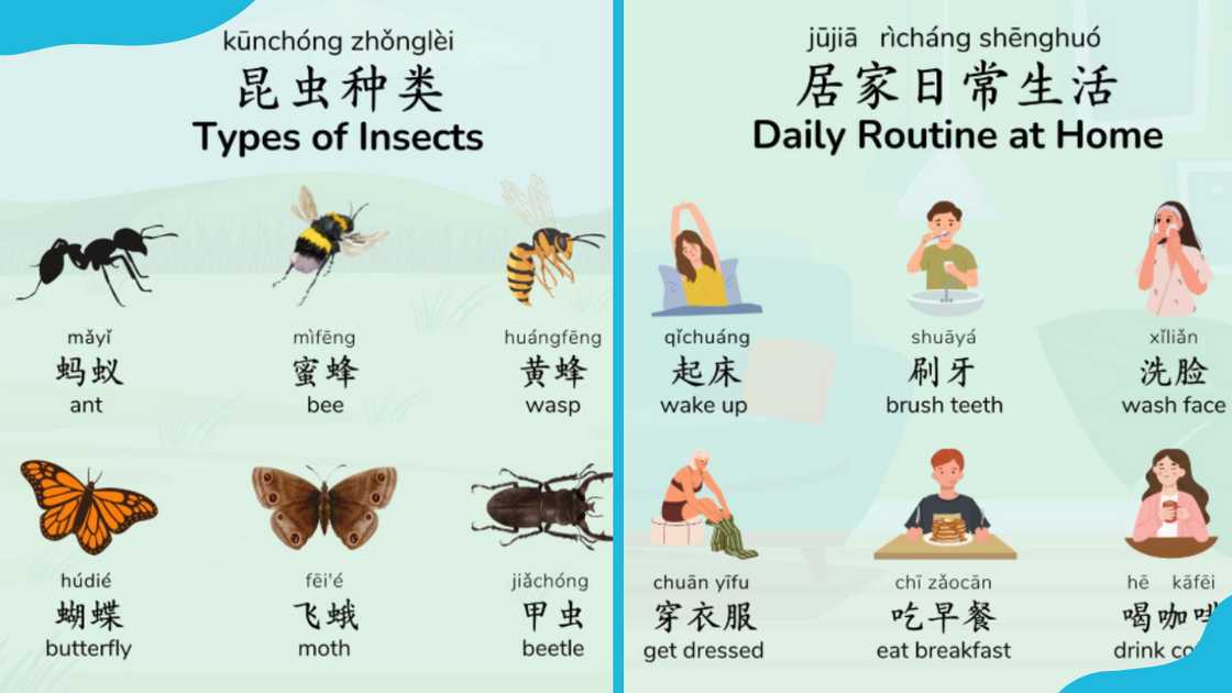 Mandarin Chinese Mandarin Chinese