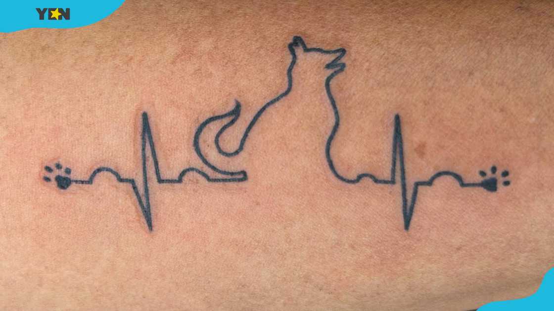 A heartbeat line dog memorial tattoo A heartbeat line dog memorial tattoo