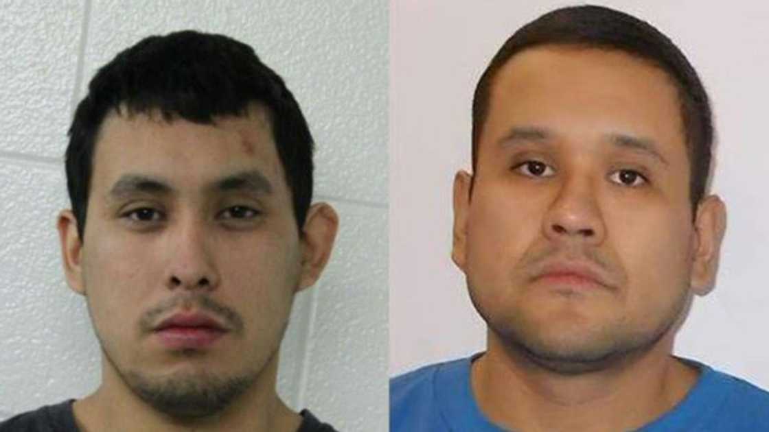 Damien Sanderson and Myles Sanderson are suspected of carrying out a stabbing spree in Saskatchewan province Damien Sanderson and Myles Sanderson are suspected of carrying out a stabbing spree in Saskatchewan province