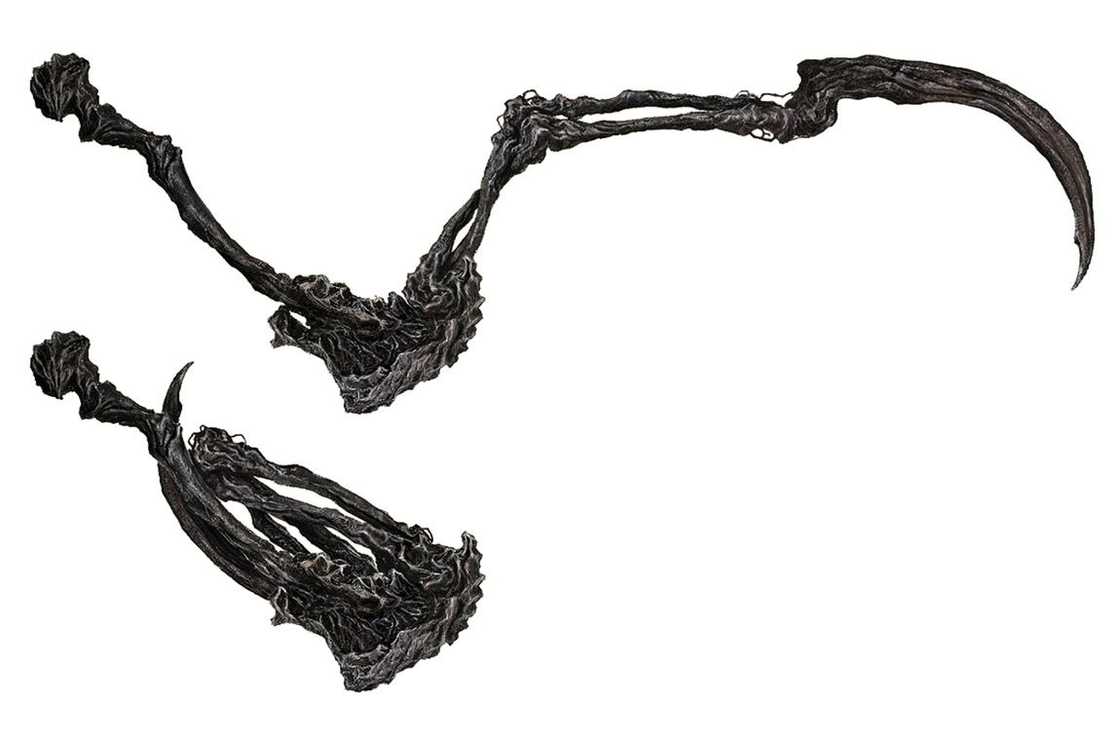 Bloodborne Weapons Bloodborne Weapons