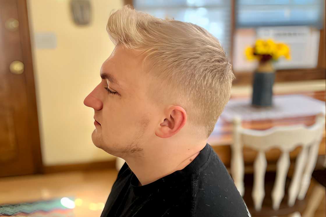 Pompadour with a low fade Pompadour with a low fade