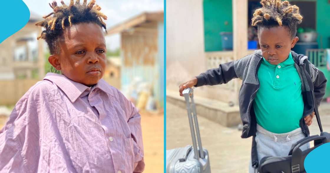 Don Little Don Little