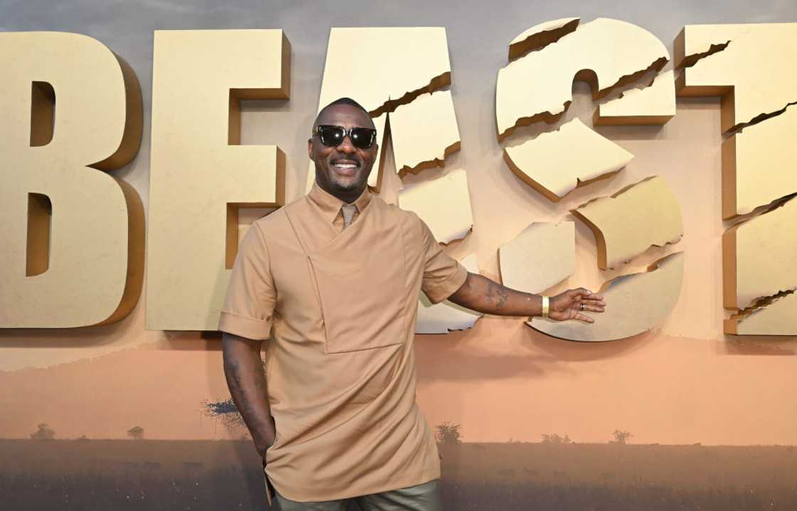 Hanne Norgaard Hanne Norgaard