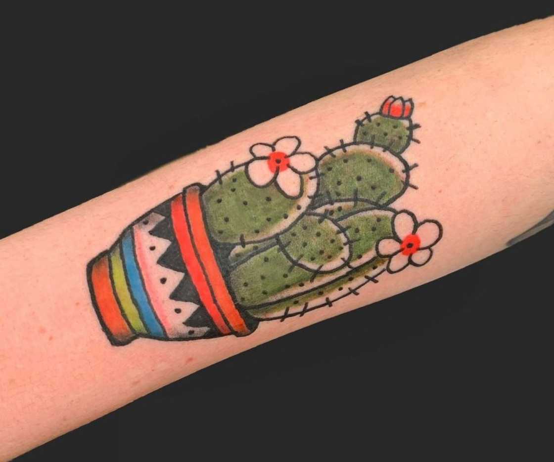 American traditional tattoo American traditional tattoo