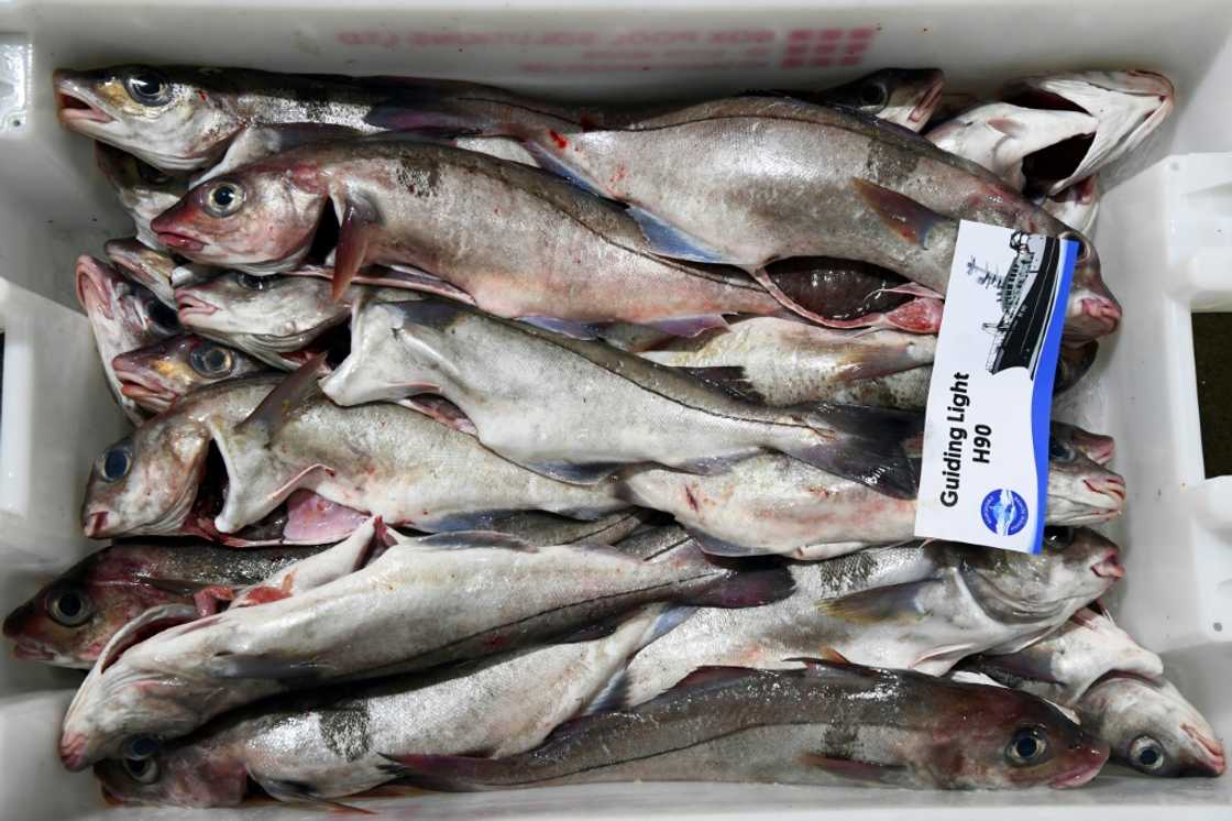 The industry has faced a wave of complications and added financial costs The industry has faced a wave of complications and added financial costs