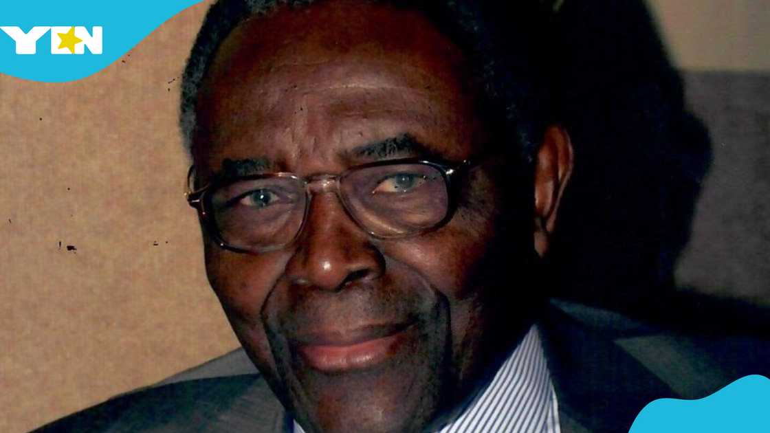 NPP, Samuel Odoi-Sykes, Parliament, former National Chairman