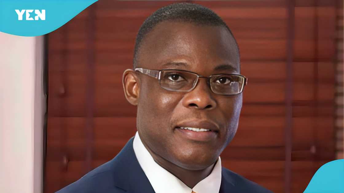 Vim Lady reactions, President Mahama petitions, Electoral Commission Ghana, removal of OSP, Chief Justice Paul Baffoe-Bonnie, Ghana news, Afia Pokua statements