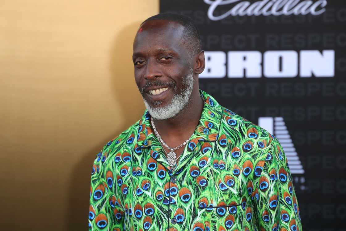 Michael K. Williams attends the Los Angeles Premiere Of MGM's Respect at Regency Village Theatre