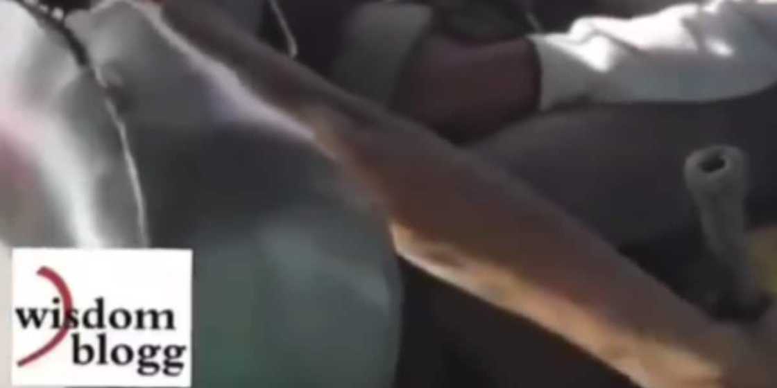 Danfo sharing seat with passengers Danfo sharing seat with passengers