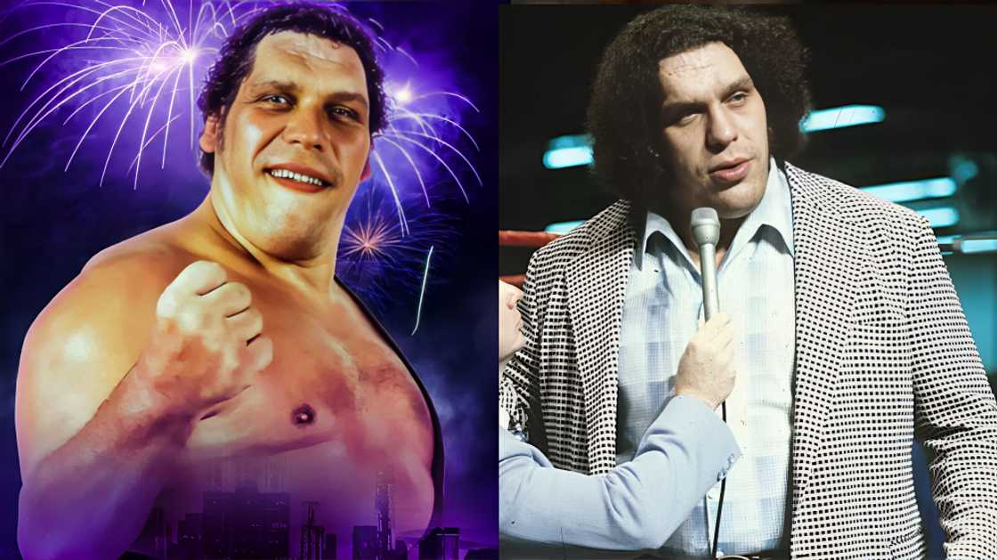 Robin Christensen-Roussimoff's father Andre the Giant Robin Christensen-Roussimoff's father Andre the Giant