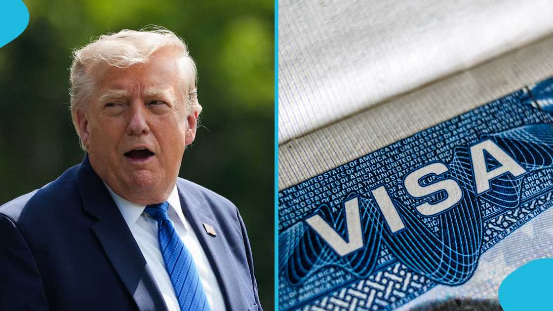 US employment-based immigrant visas, E1 visa category, employment visa preference categories, extraordinary ability visas, spousal visa eligibility, E2 visa professionals, skilled worker visas US employment-based immigrant visas, E1 visa category, employment visa preference categories, extraordinary ability visas, spousal visa eligibility, E2 visa professionals, skilled worker visas