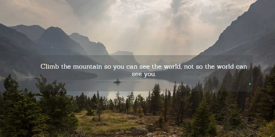 wise sayings about life wise sayings about life