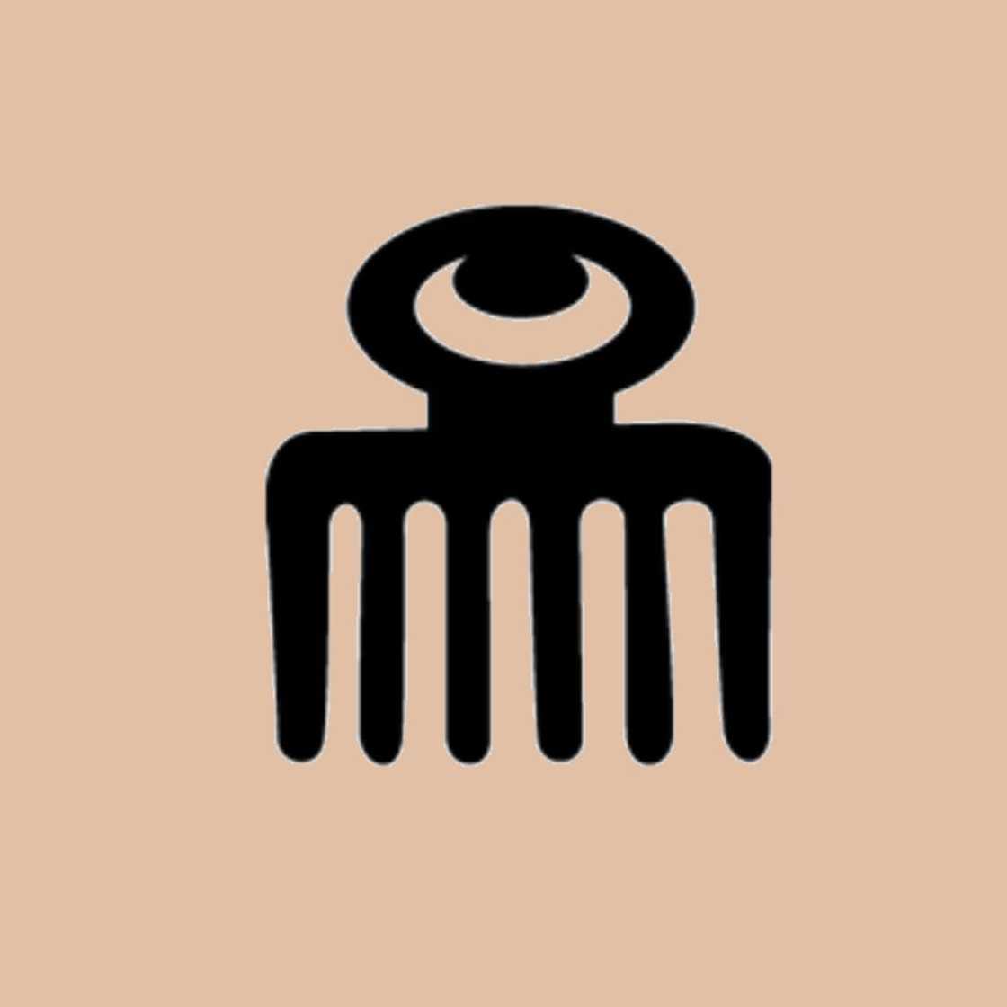 Adinkra symbols explained Adinkra symbols explained