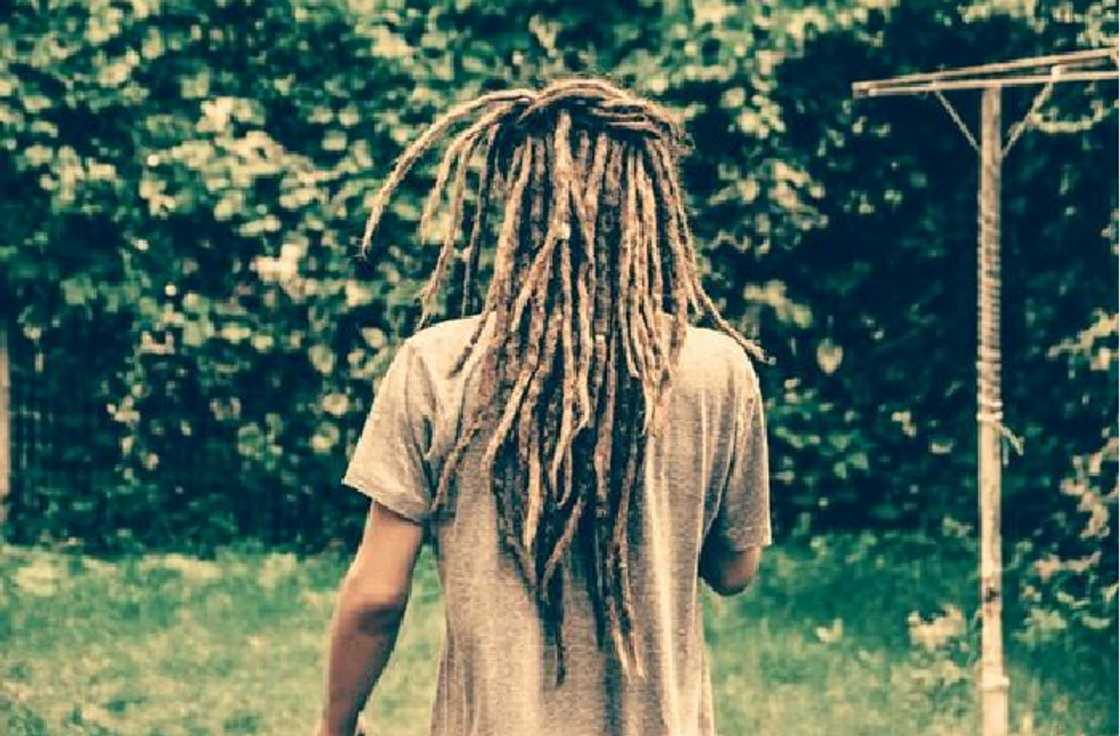 Viking dreadlocks Viking dreadlocks