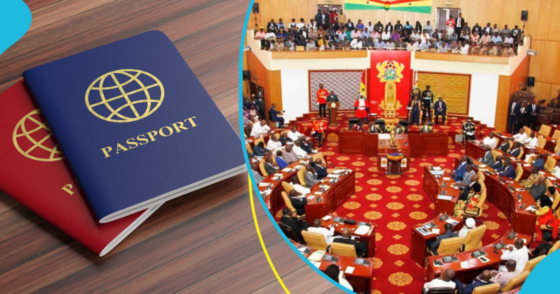 Parliamentary Committee Endorses Constitutional Amendment To Allow Dual Citizens Hold Public Office Parliamentary Committee Endorses Constitutional Amendment To Allow Dual Citizens Hold Public Office