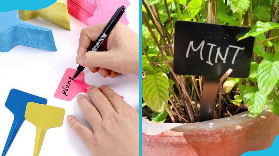 Personalised plant markers Personalised plant markers