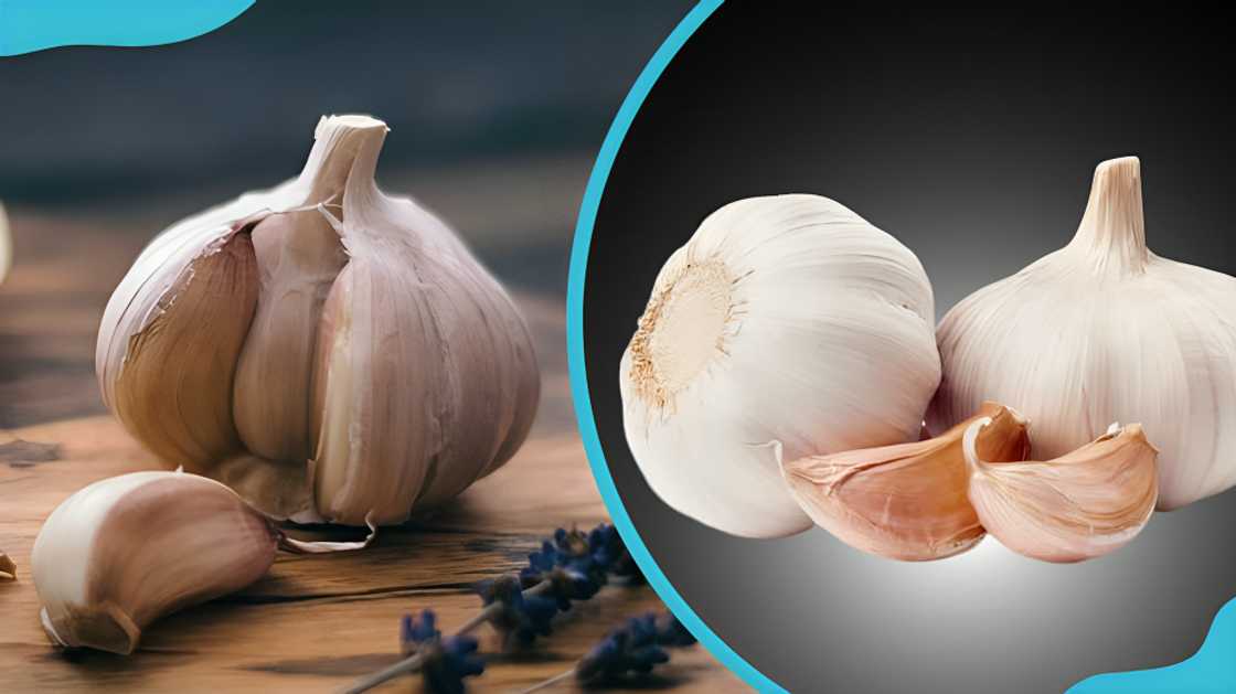 spices in Ghana spices in Ghana