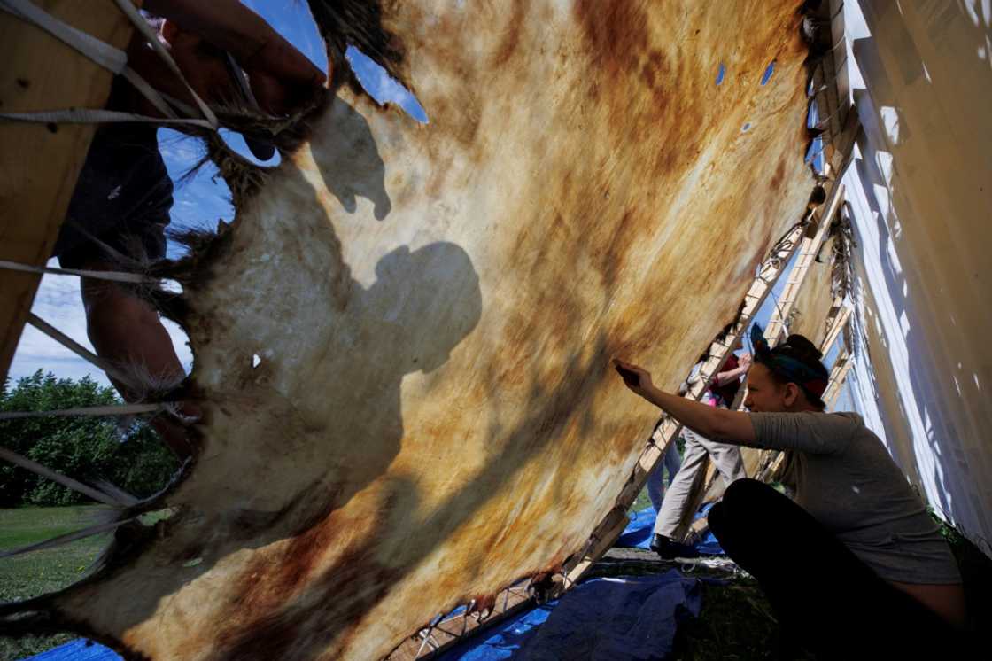 Tarryn Cardinal scrapes a moose hide during the 'pahekinohewin' tanning process at University nuhelt'ine tahiyots'i nistameyimakanak Blue Quills in St Paul, Alberta, Canada