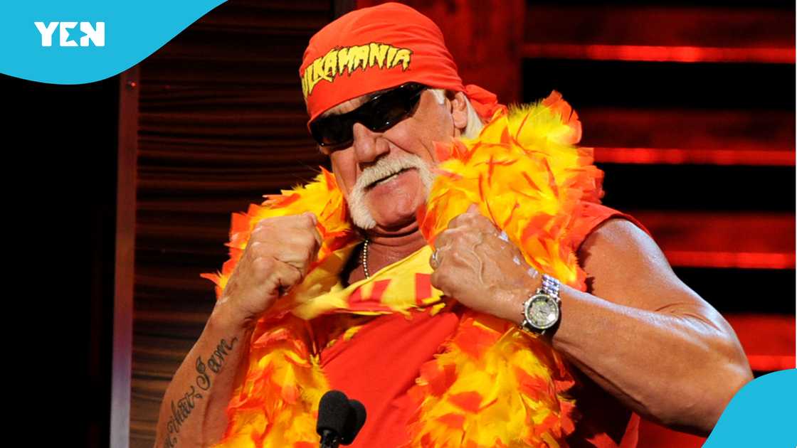 Hulk Hogan, Terry Gene Bollea, Hulkamania, Yellow Man, WWE, Wrestlemania Hulk Hogan, Terry Gene Bollea, Hulkamania, Yellow Man, WWE, Wrestlemania