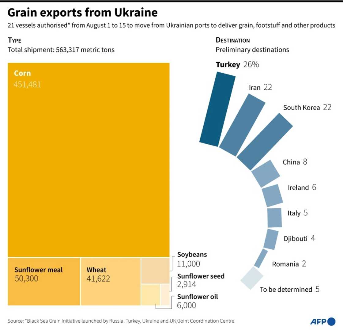 Grain exports from Ukraine