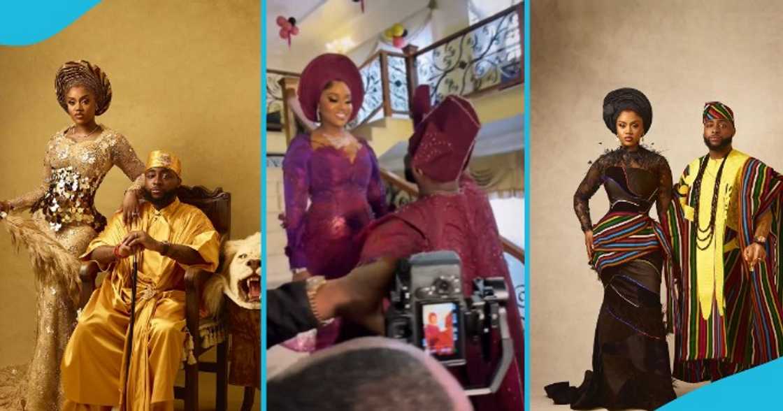 Chivido 2024 Chivido 2024