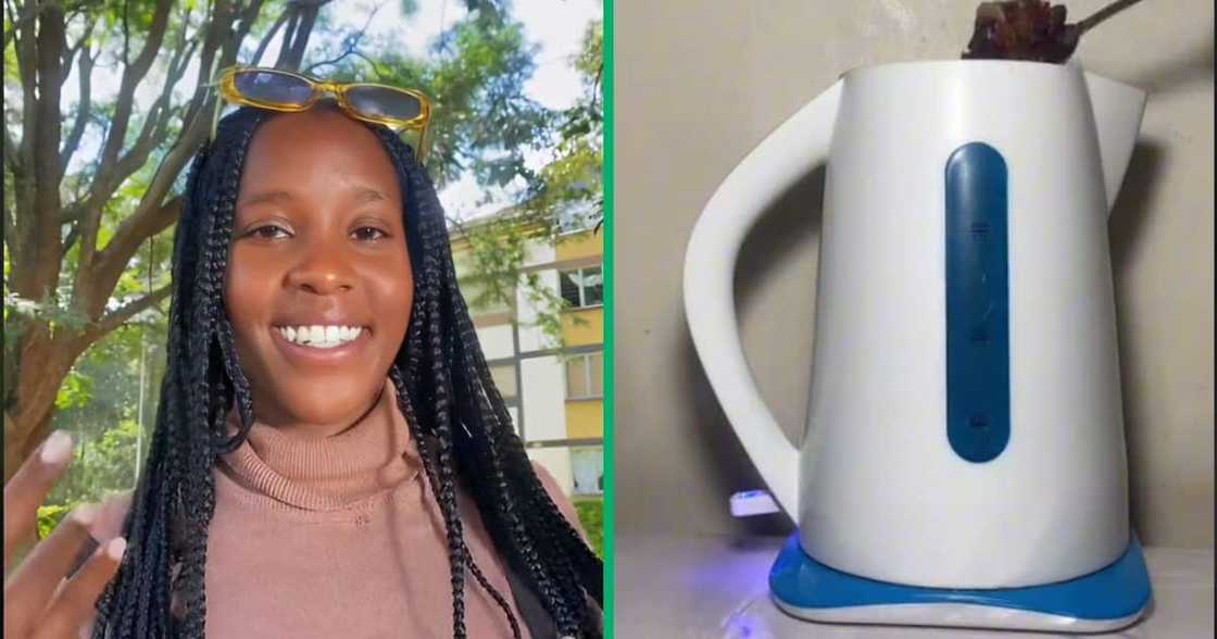 A woman prepared a chicken stew using a kettle