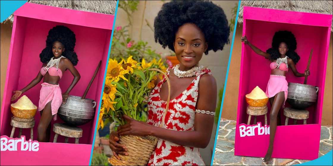 Hamamat Montia in a Barbie box Hamamat Montia in a Barbie box