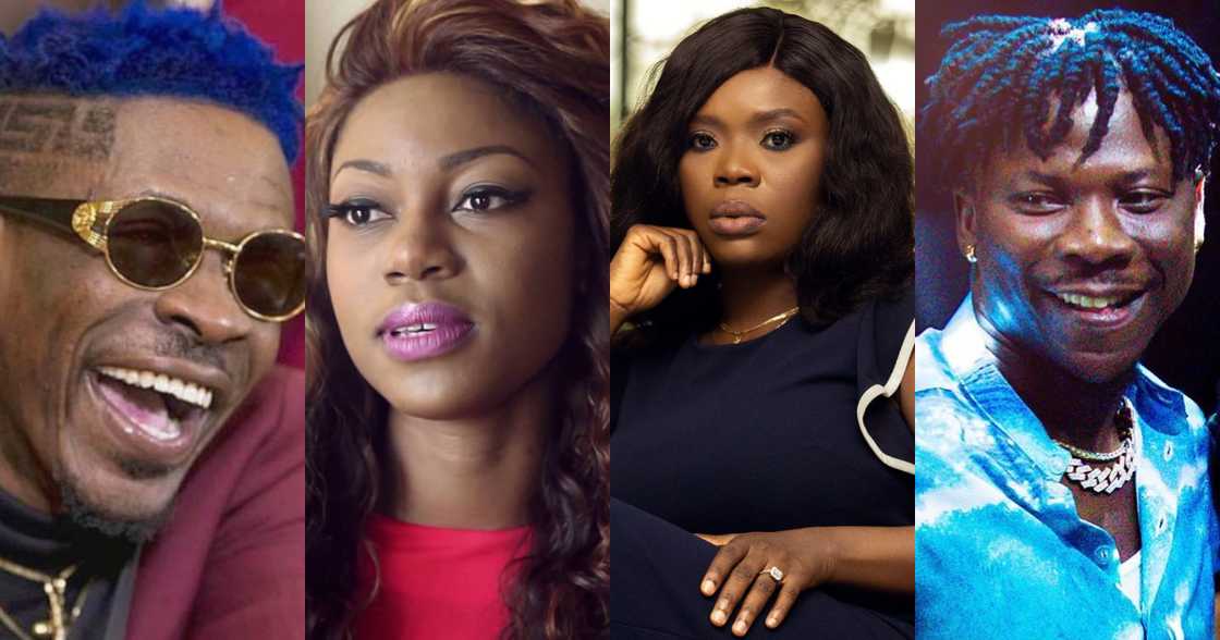 Shatta Wale, Stonebwoy, Yvonne Nelson, Delay, Van Vicker, and 5 Other Celebs and their side Businesses