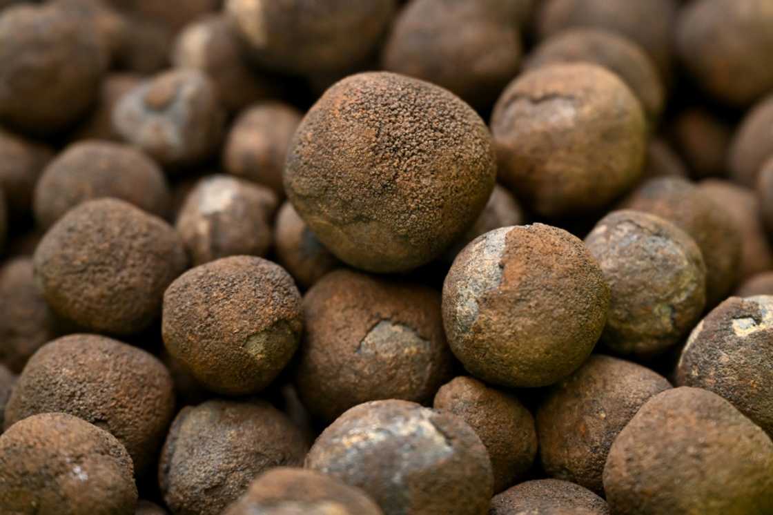 Large tracts of seabed around the Cook Islands are carpeted in polymetallic nodules, misshapen black globes encrusted with cobalt, nickel, manganese and other coveted metals