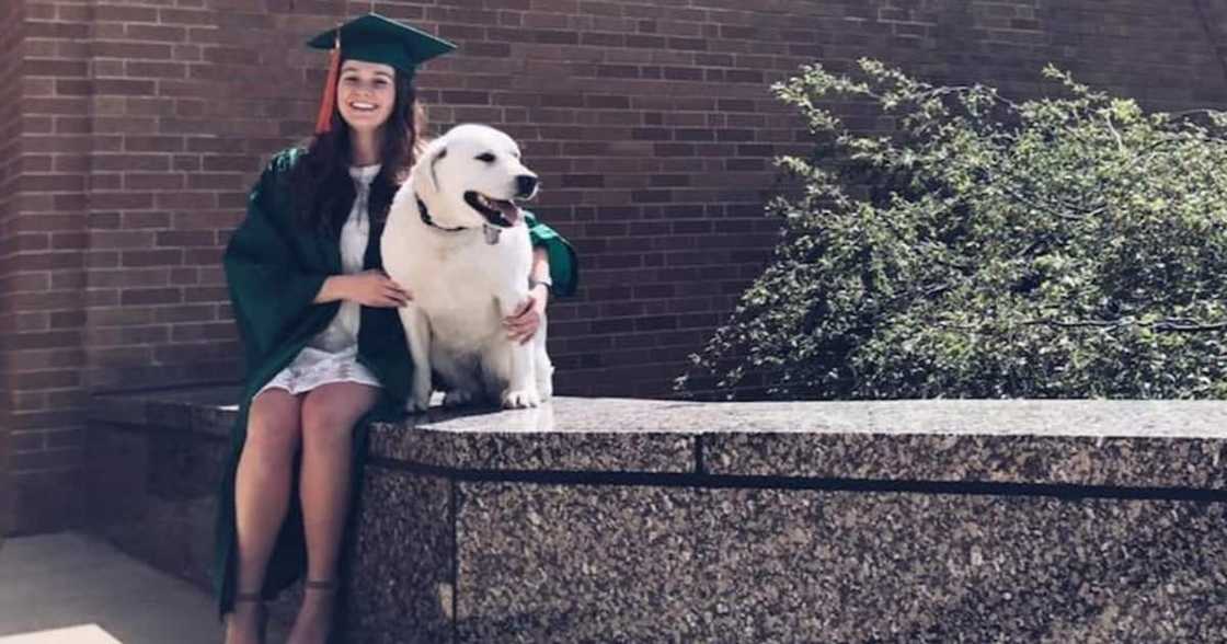 University Graduate Awarded KSh 107 Million by State in Bid to Encourage Vaccination Among Under 18s University Graduate Awarded KSh 107 Million by State in Bid to Encourage Vaccination Among Under 18s