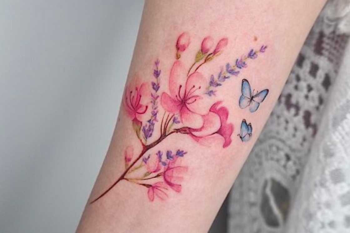 Soft cherry blossom branch with lavender and butterflies