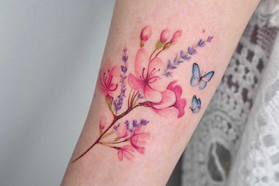 Soft cherry blossom branch with lavender and butterflies Soft cherry blossom branch with lavender and butterflies