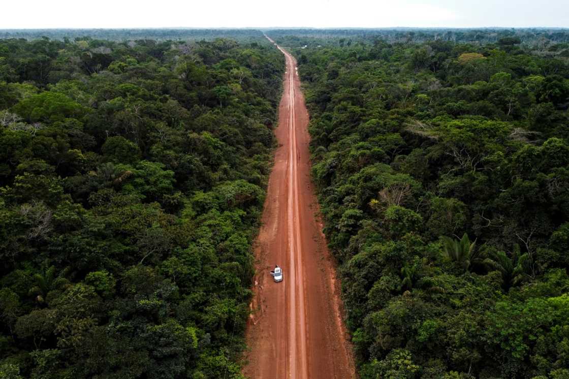 According to Amazon Conservation, which tracks deforestation in the region, around 13 percent of the original biomass of the Amazon rainforest has already disappeared According to Amazon Conservation, which tracks deforestation in the region, around 13 percent of the original biomass of the Amazon rainforest has already disappeared