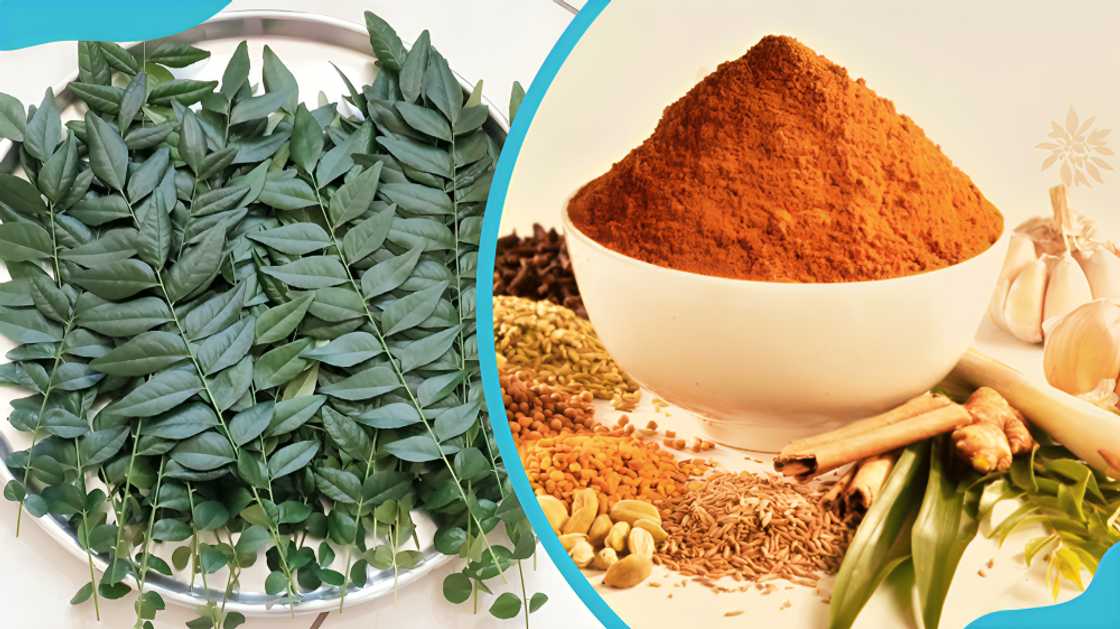 spices in Ghana spices in Ghana