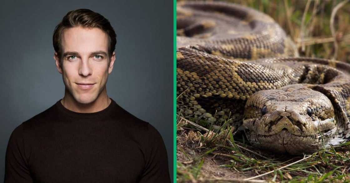 A TikTok video shows a man unveiling a snake that he found in a car engine. A TikTok video shows a man unveiling a snake that he found in a car engine.