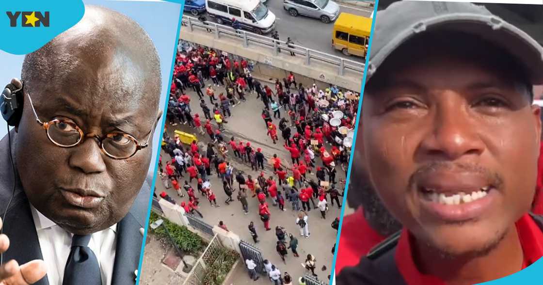 OccupyBoG Demonstration: Madina MP Francis-Xavier Sosu Gets Vulgar As He Blasts Akufo-Addo In Ga