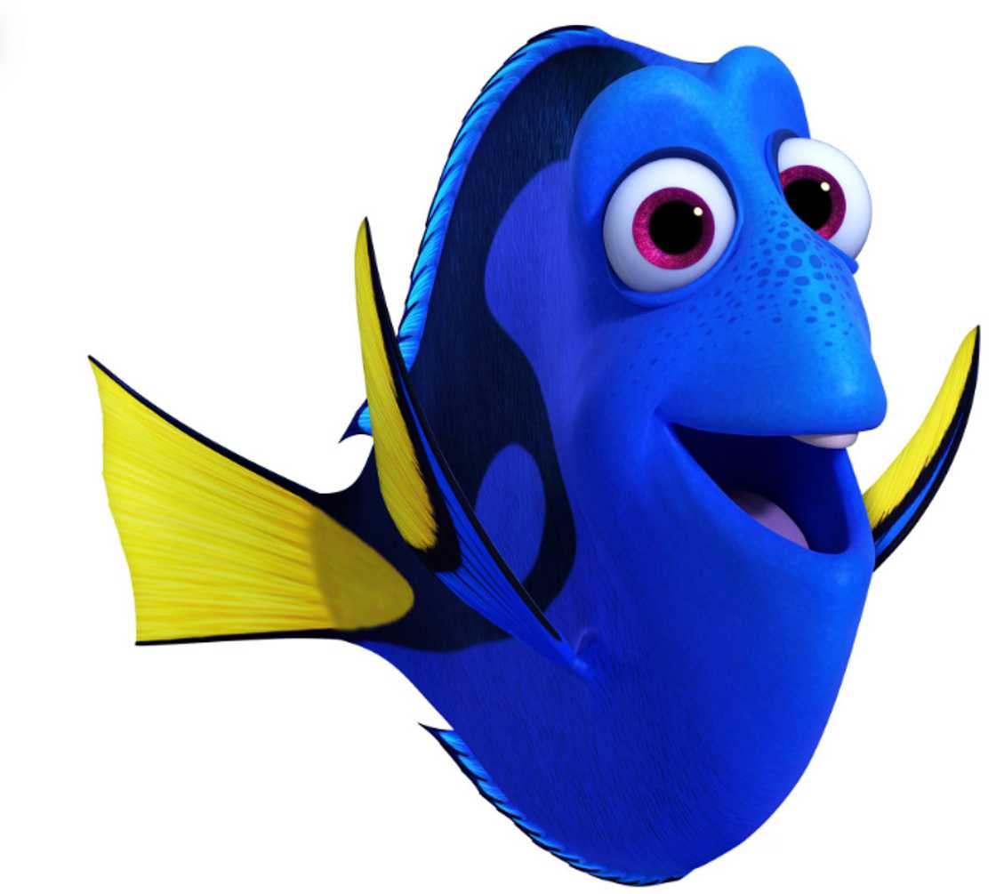 Dory the fish cartoon character