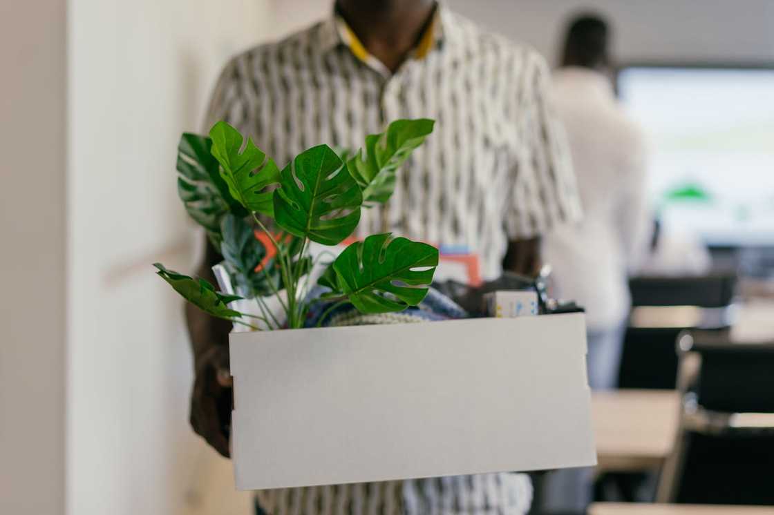 A man holds a box of personal belongings inside an office.