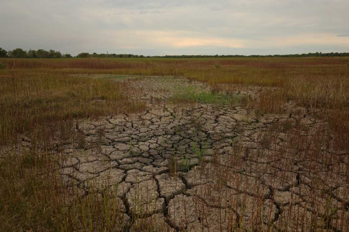 The frequency of disasters is increasing and so is their impact on food production, the UN's Food and Agricultural Organization warns The frequency of disasters is increasing and so is their impact on food production, the UN's Food and Agricultural Organization warns