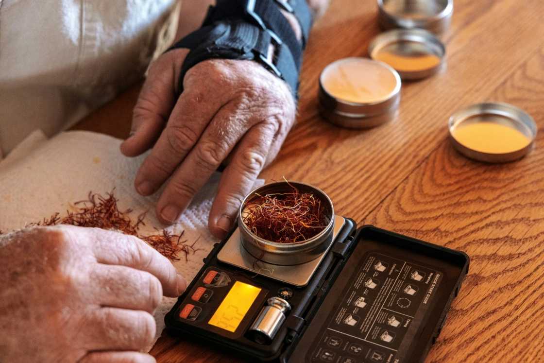 Farmer Joe Kroon weighs saffron threads harvested from his farm on the outskirts of Graaff Reinet Farmer Joe Kroon weighs saffron threads harvested from his farm on the outskirts of Graaff Reinet
