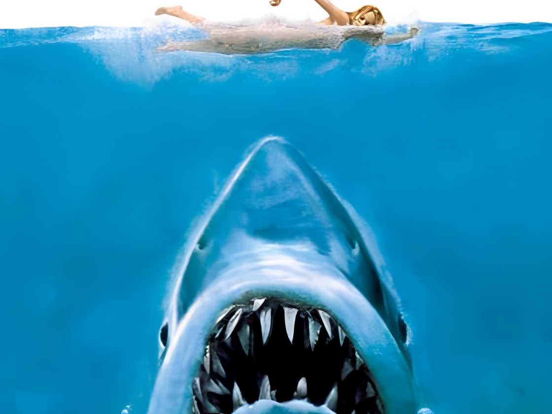 The Jaws (1975) poster The Jaws (1975) poster