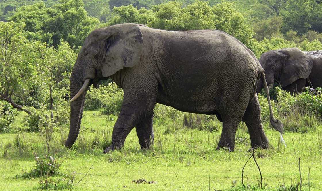 districts in the Savannah Region districts in the Savannah Region