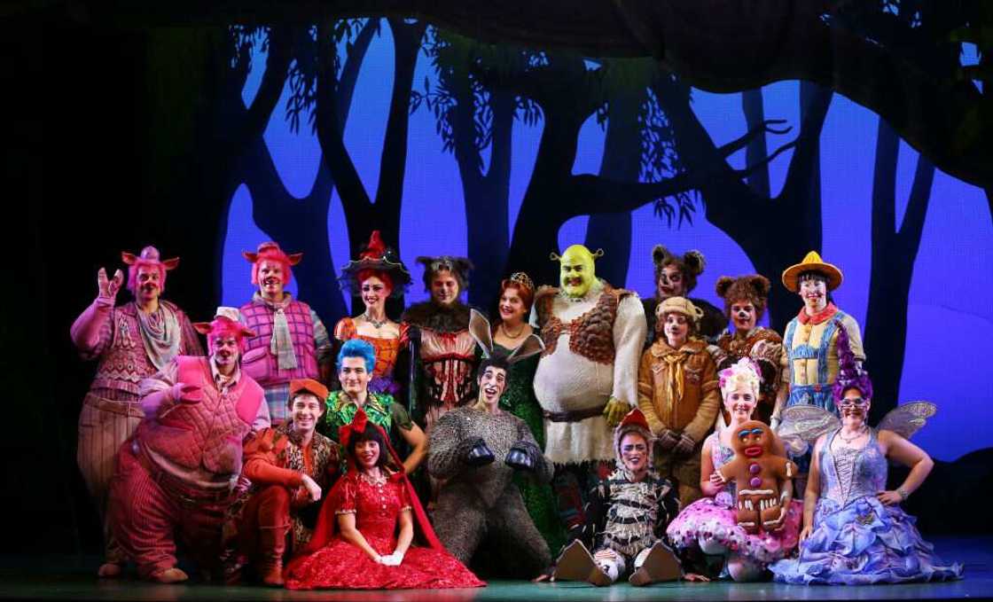 Shrek costume ideas Shrek costume ideas