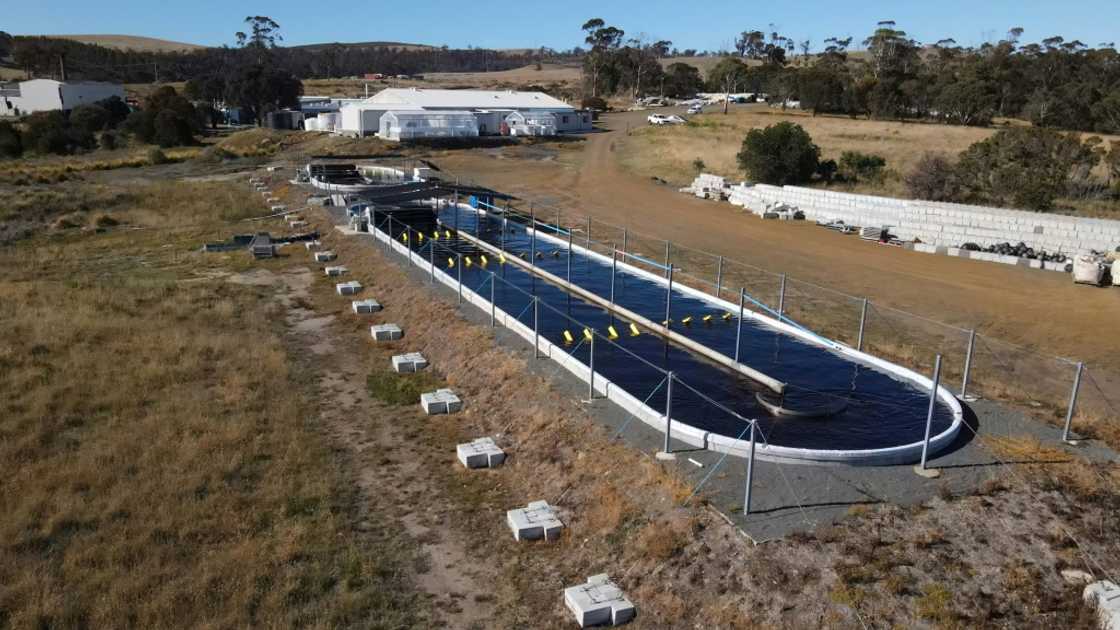 Sea Forest's headquarters in Triabunna, Tasmania Sea Forest's headquarters in Triabunna, Tasmania