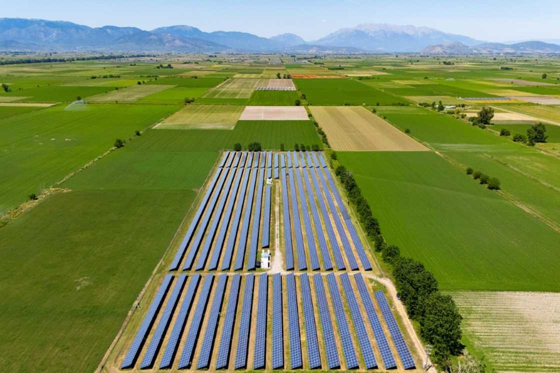 Some locals worry that the solar parks have increased temperatures, creating a microclimate Some locals worry that the solar parks have increased temperatures, creating a microclimate