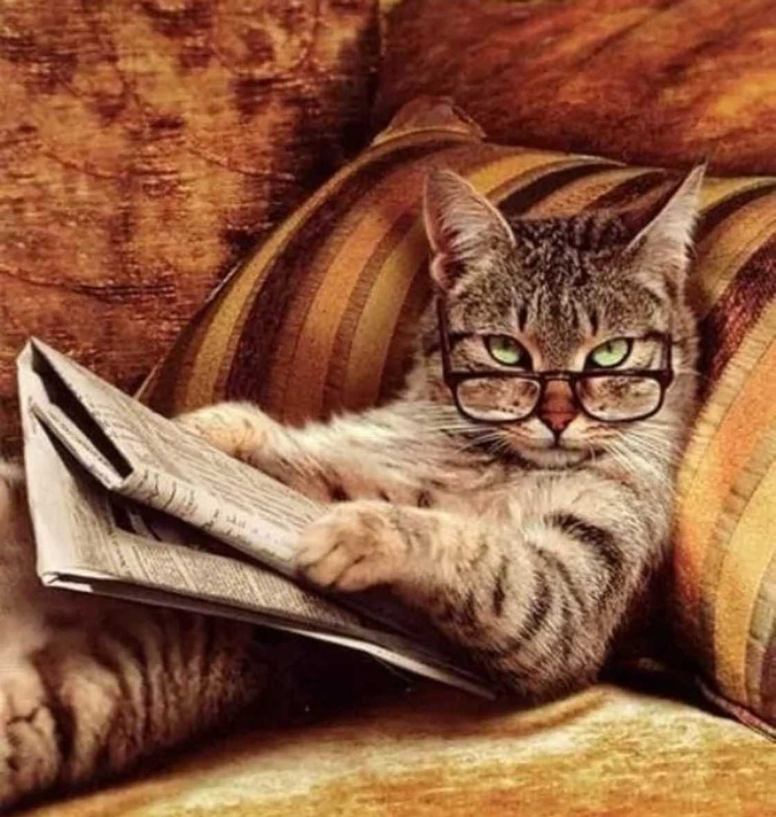 The most read stories on YEN.com.gh in 2018 The most read stories on YEN.com.gh in 2018